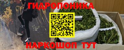 спиды Кунгур