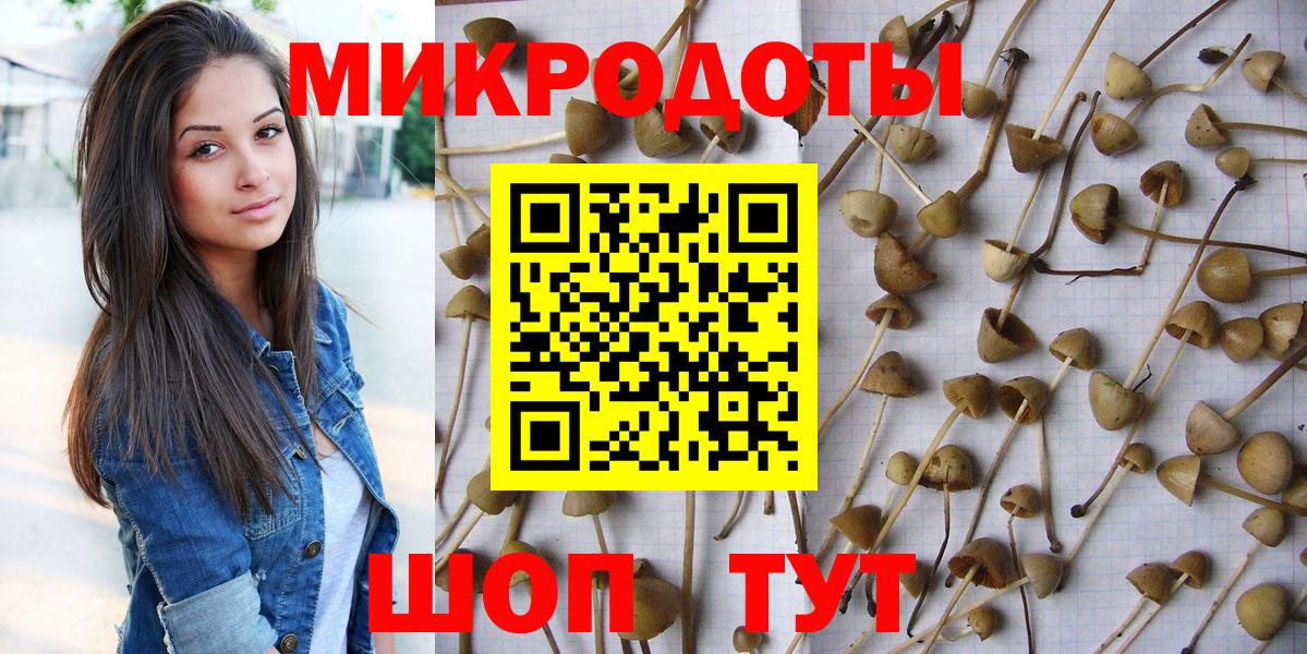 Псилоцибиновые грибы прущие грибы Калуга